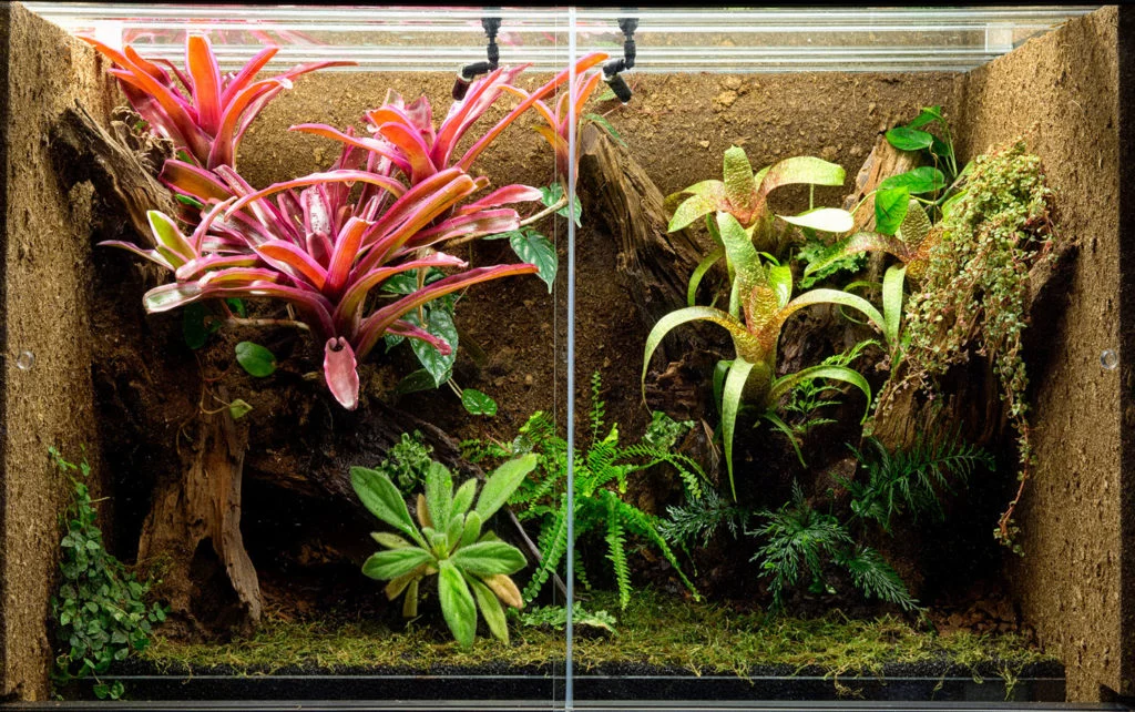 Terrarium mit verdeckten Wänden