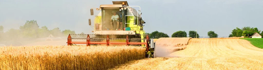 Landwirtschaft